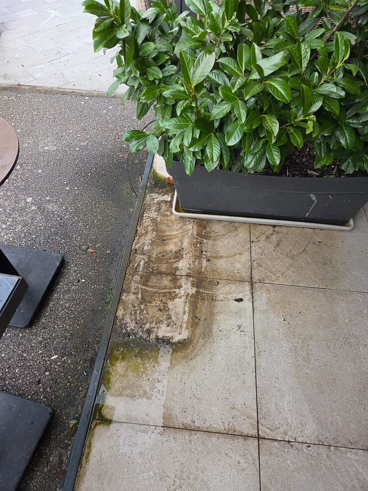 Terasa prije čišćenja s tamnim naslagama i prljavim fugama