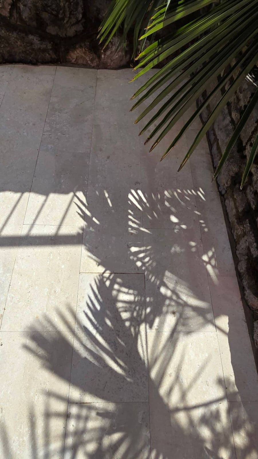 Isti kut kamene terase nakon čišćenja, svijetle ploče u sjeni palme